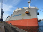 M.V. Western Paris Inspection at Antwerp 22 April 2024 by AKE